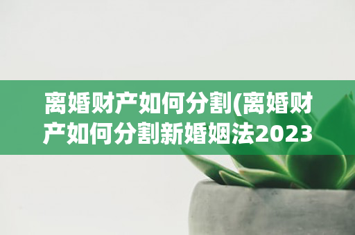 离婚财产如何分割(离婚财产如何分割新婚姻法2023规定)