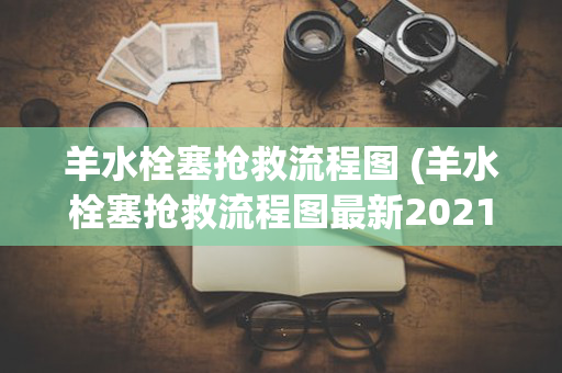 羊水栓塞抢救流程图 (羊水栓塞抢救流程图最新2021)