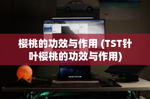 樱桃的功效与作用 (TST针叶樱桃的功效与作用)