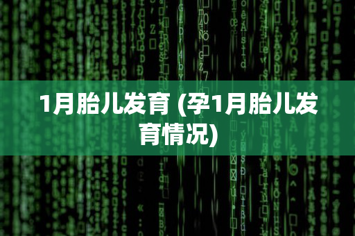 1月胎儿发育 (孕1月胎儿发育情况)